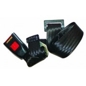 Picture of Rear Lap Seat Belt