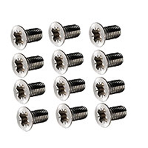 Picture of Beetle door mounting screws ( Each)