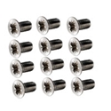 Picture of Beetle door screw stainless steel. Set of 12