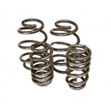 Picture of H & R T25 lowering sport springs 45 to 50mm