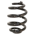 Picture of Rear Suspension Coil Spring